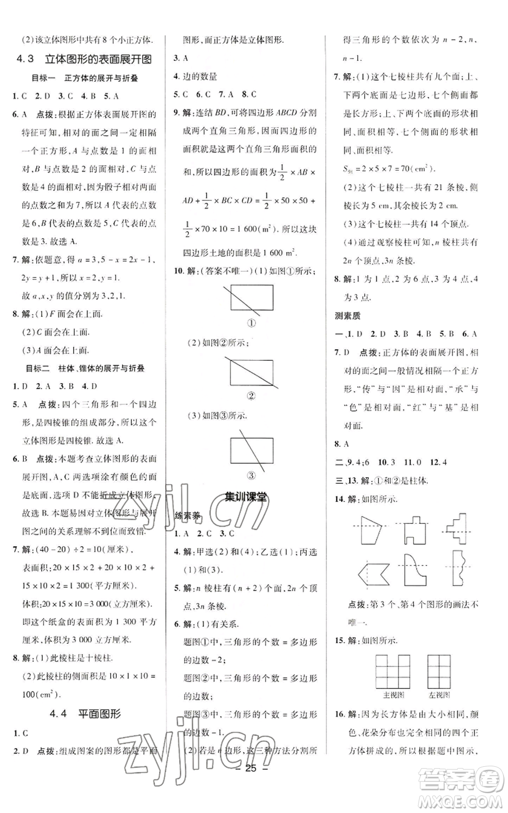 陜西人民教育出版社2022秋季綜合應用創(chuàng)新題典中點提分練習冊七年級上冊數(shù)學華師大版參考答案