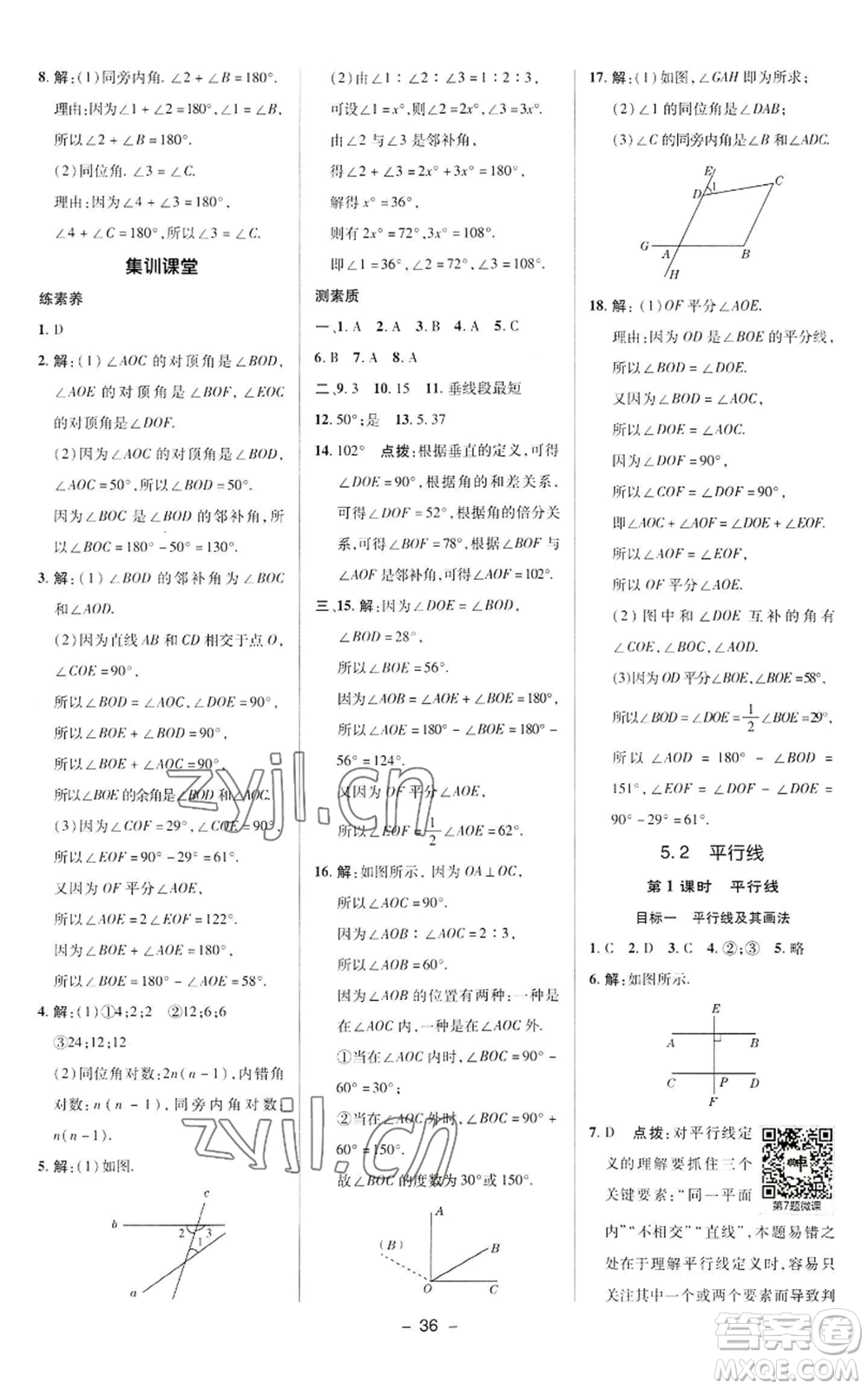 陜西人民教育出版社2022秋季綜合應用創(chuàng)新題典中點提分練習冊七年級上冊數(shù)學華師大版參考答案