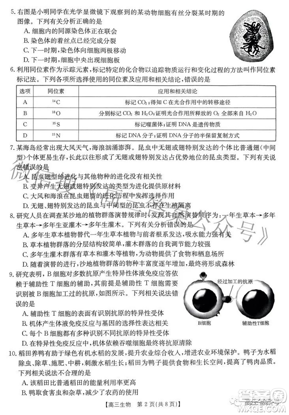 2022-2023年度河南省高三年級入學(xué)摸底考試一生物試題及答案