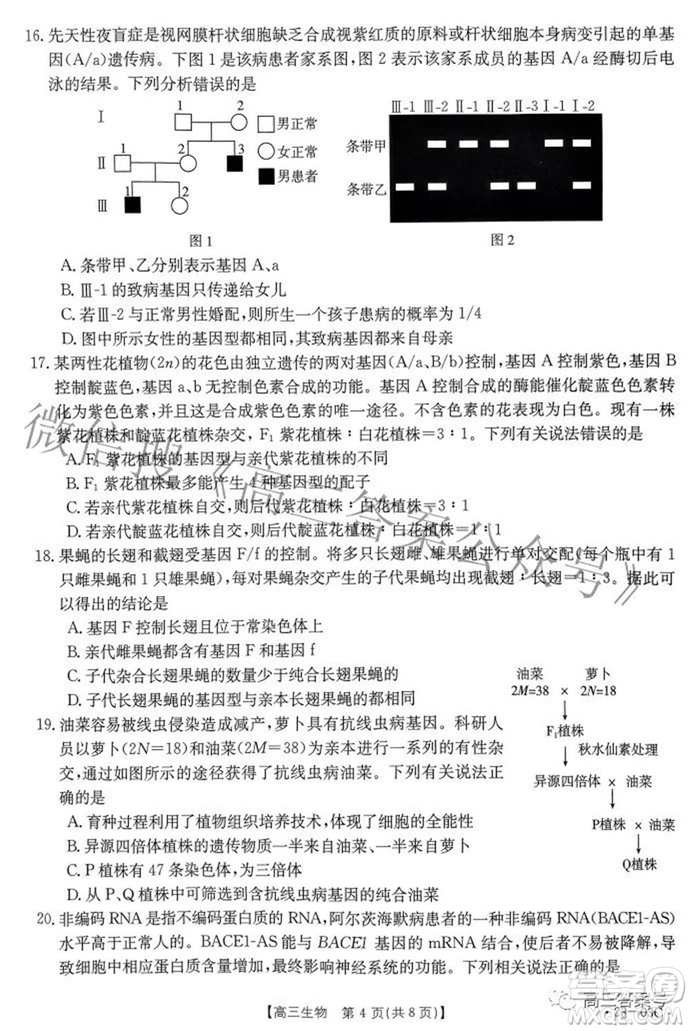 2022-2023年度河南省高三年級入學(xué)摸底考試一生物試題及答案