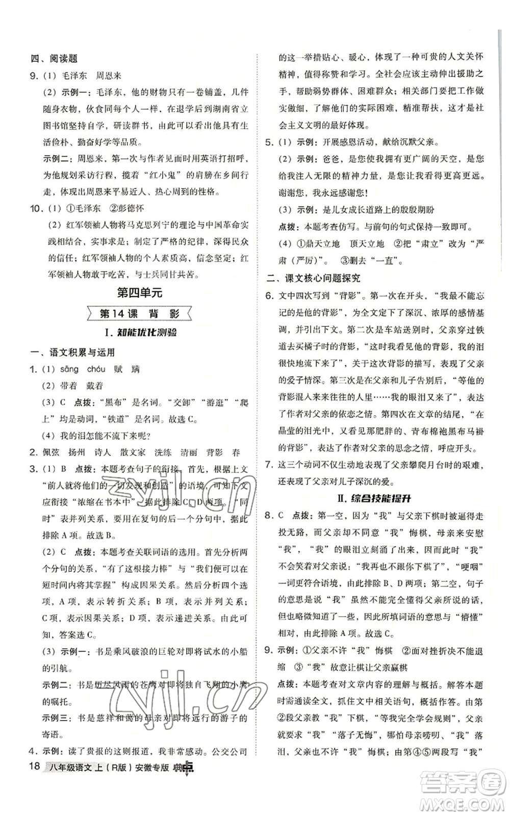 吉林教育出版社2022秋季綜合應用創(chuàng)新題典中點提分練習冊八年級上冊語文人教版安徽專版參考答案