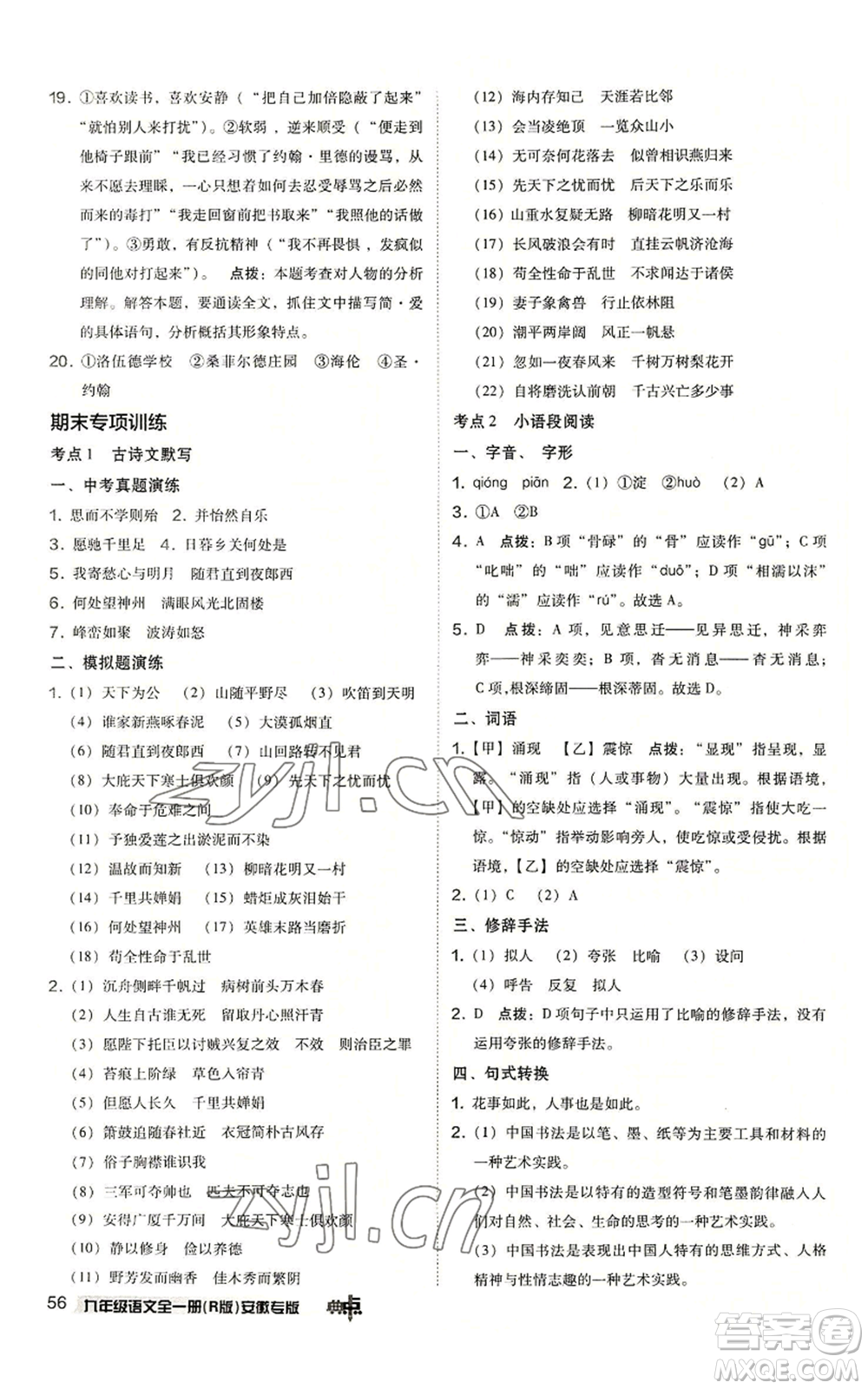 吉林教育出版社2022秋季綜合應(yīng)用創(chuàng)新題典中點(diǎn)提分練習(xí)冊九年級語文人教版安徽專版參考答案