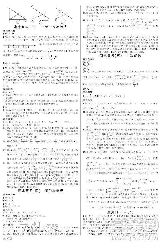 廣東經(jīng)濟出版社2022名校課堂數(shù)學(xué)八年級上冊ZJ浙教版浙江專版答案