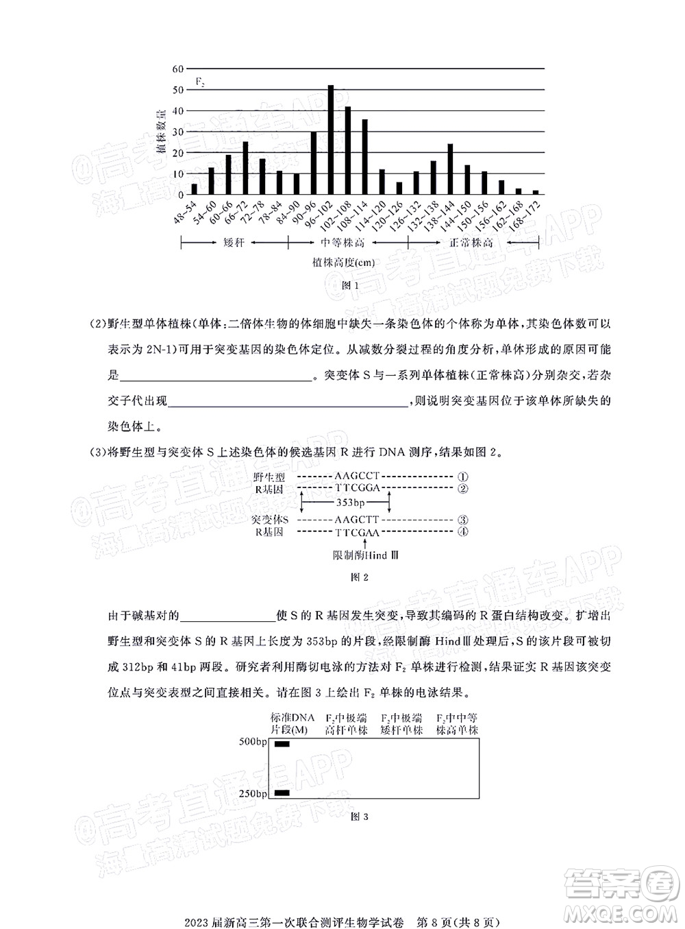 湖北省高中名校聯(lián)盟2023屆新高三第一次聯(lián)合測評生物學(xué)試題及答案