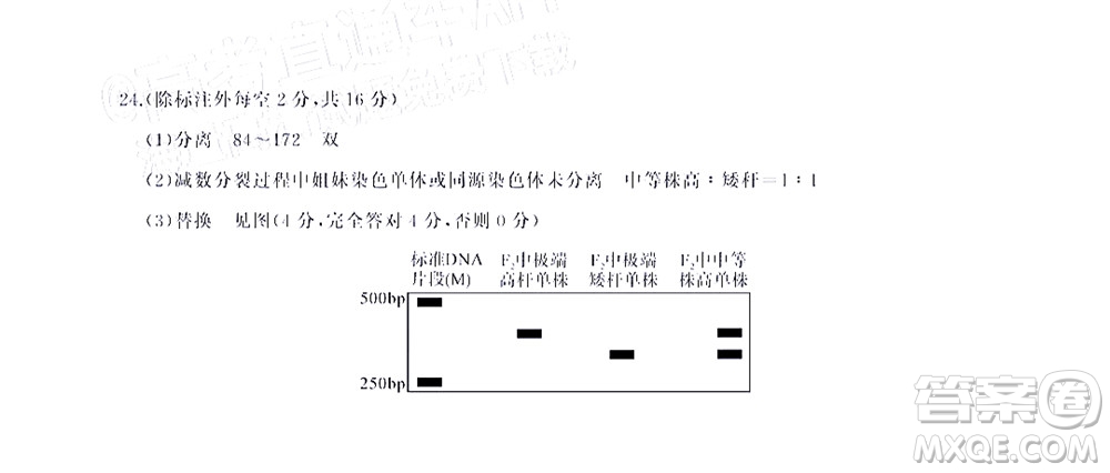 湖北省高中名校聯(lián)盟2023屆新高三第一次聯(lián)合測評生物學(xué)試題及答案