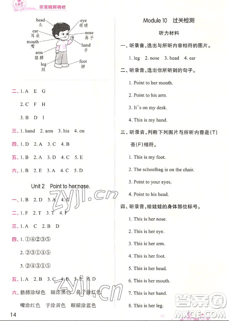 江西人民出版社2022王朝霞創(chuàng)維新課堂英語(yǔ)三年級(jí)上冊(cè)WY外研版答案