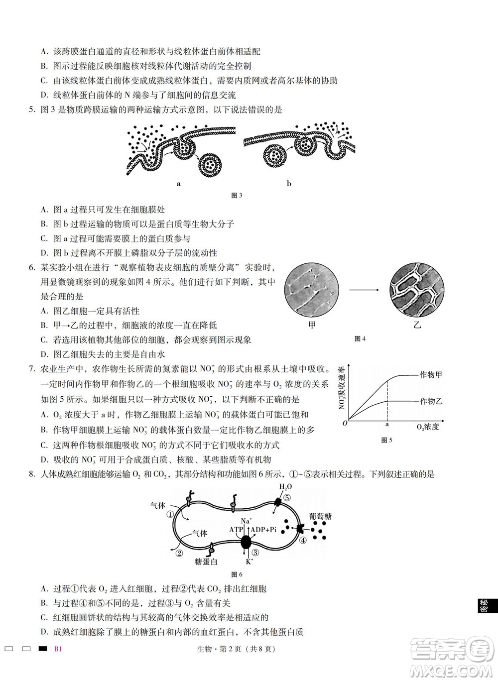 巴蜀中學2023屆高考適應性月考卷一生物試題及答案