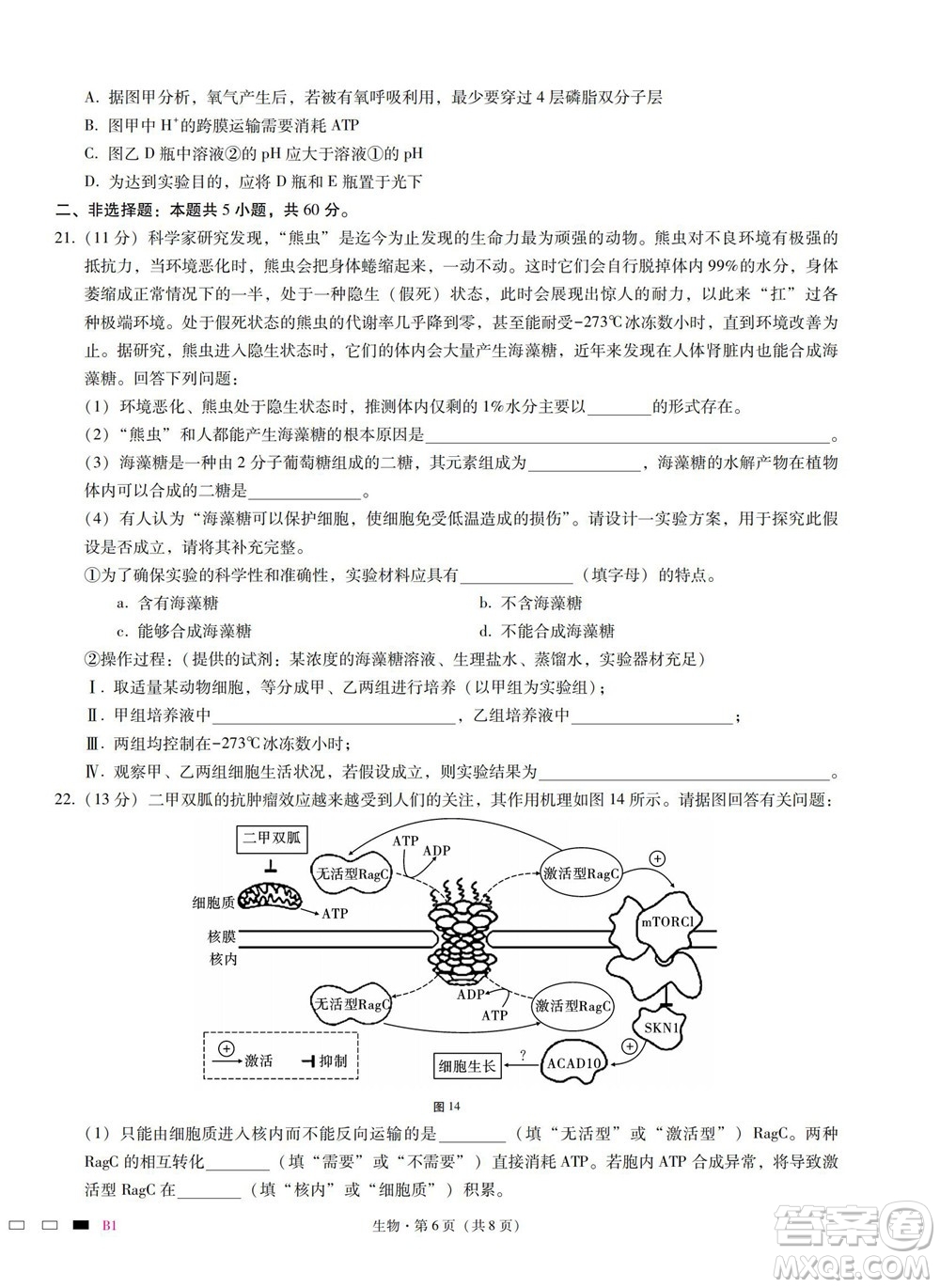 巴蜀中學2023屆高考適應性月考卷一生物試題及答案