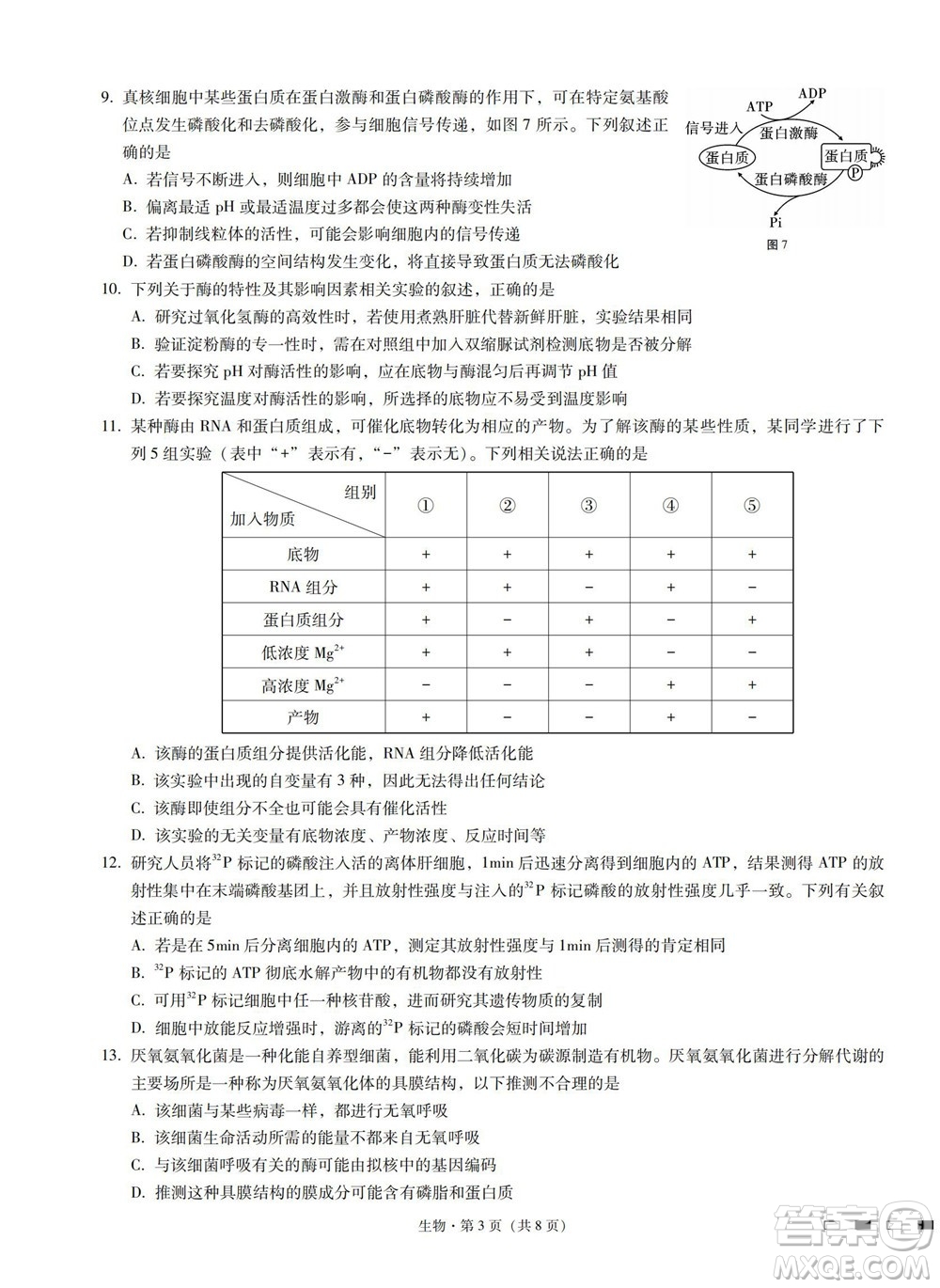 巴蜀中學2023屆高考適應性月考卷一生物試題及答案