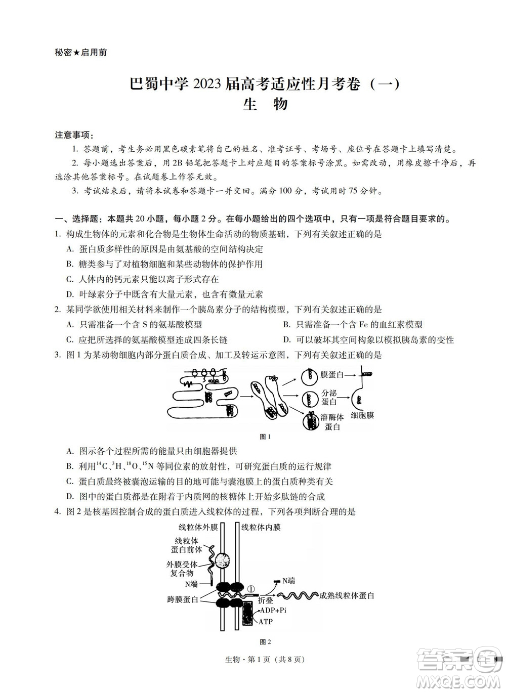 巴蜀中學2023屆高考適應性月考卷一生物試題及答案