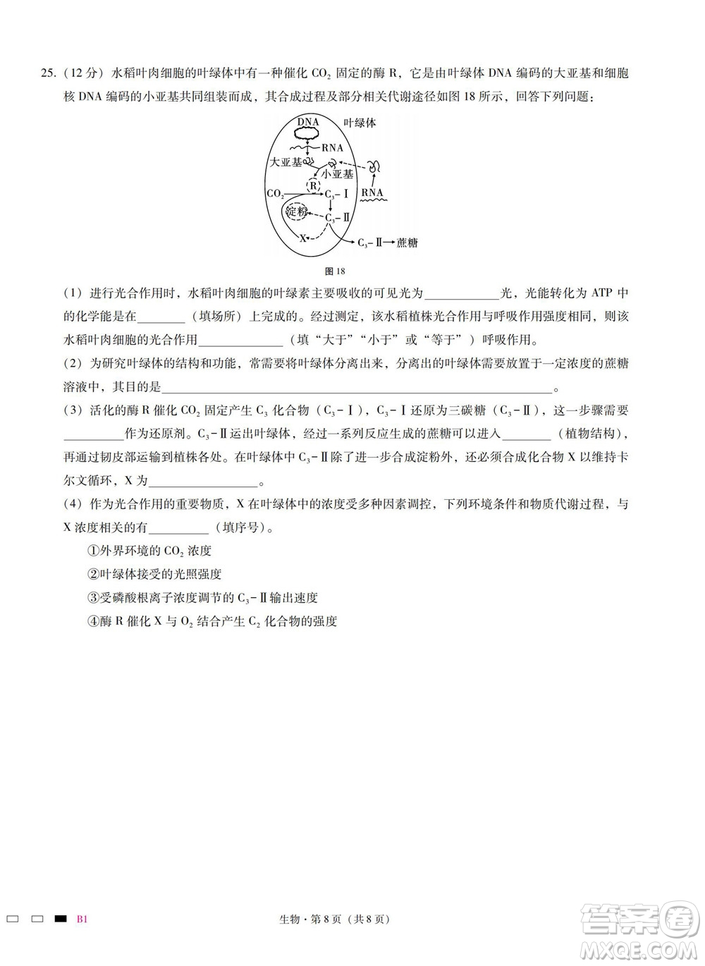 巴蜀中學2023屆高考適應性月考卷一生物試題及答案