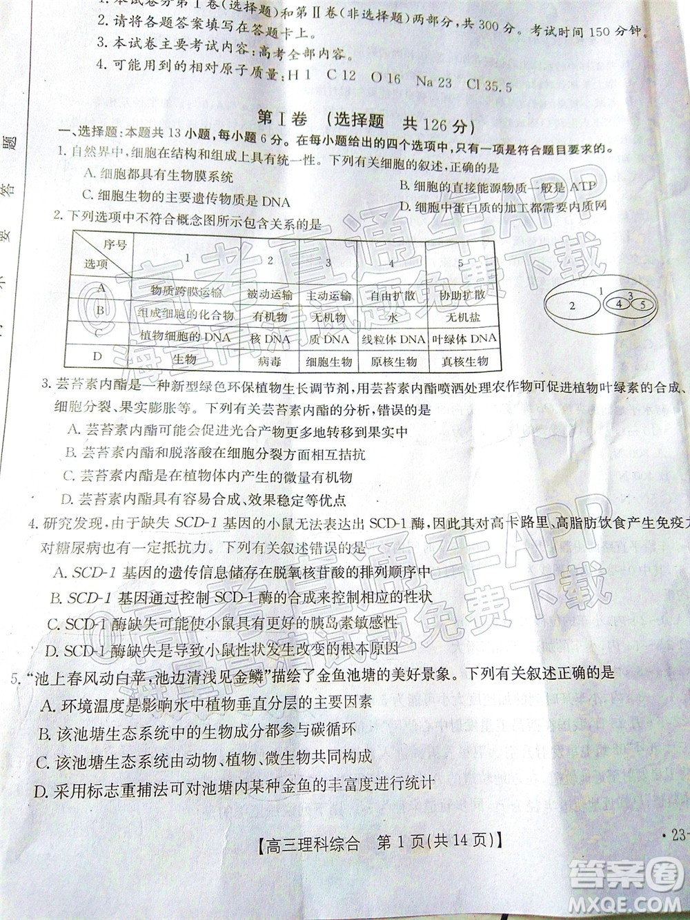 2023屆貴州省金太陽高三年級聯(lián)合考試理科綜合試題及答案