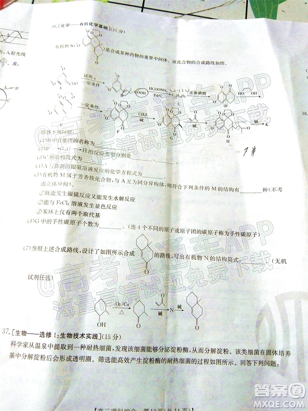 2023屆貴州省金太陽高三年級聯(lián)合考試理科綜合試題及答案