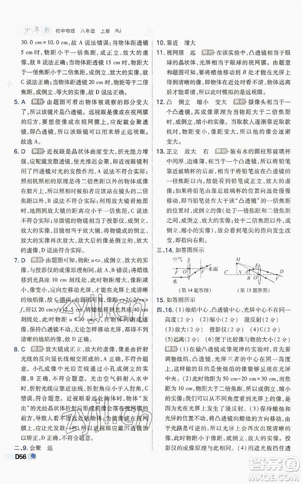 開(kāi)明出版社2022秋季少年班八年級(jí)上冊(cè)物理人教版參考答案