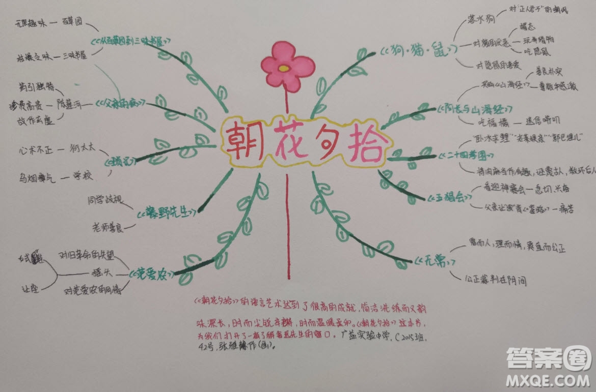 朝花夕拾思維導(dǎo)圖七年級(jí) 關(guān)于朝花夕拾的思維導(dǎo)圖圖片清晰