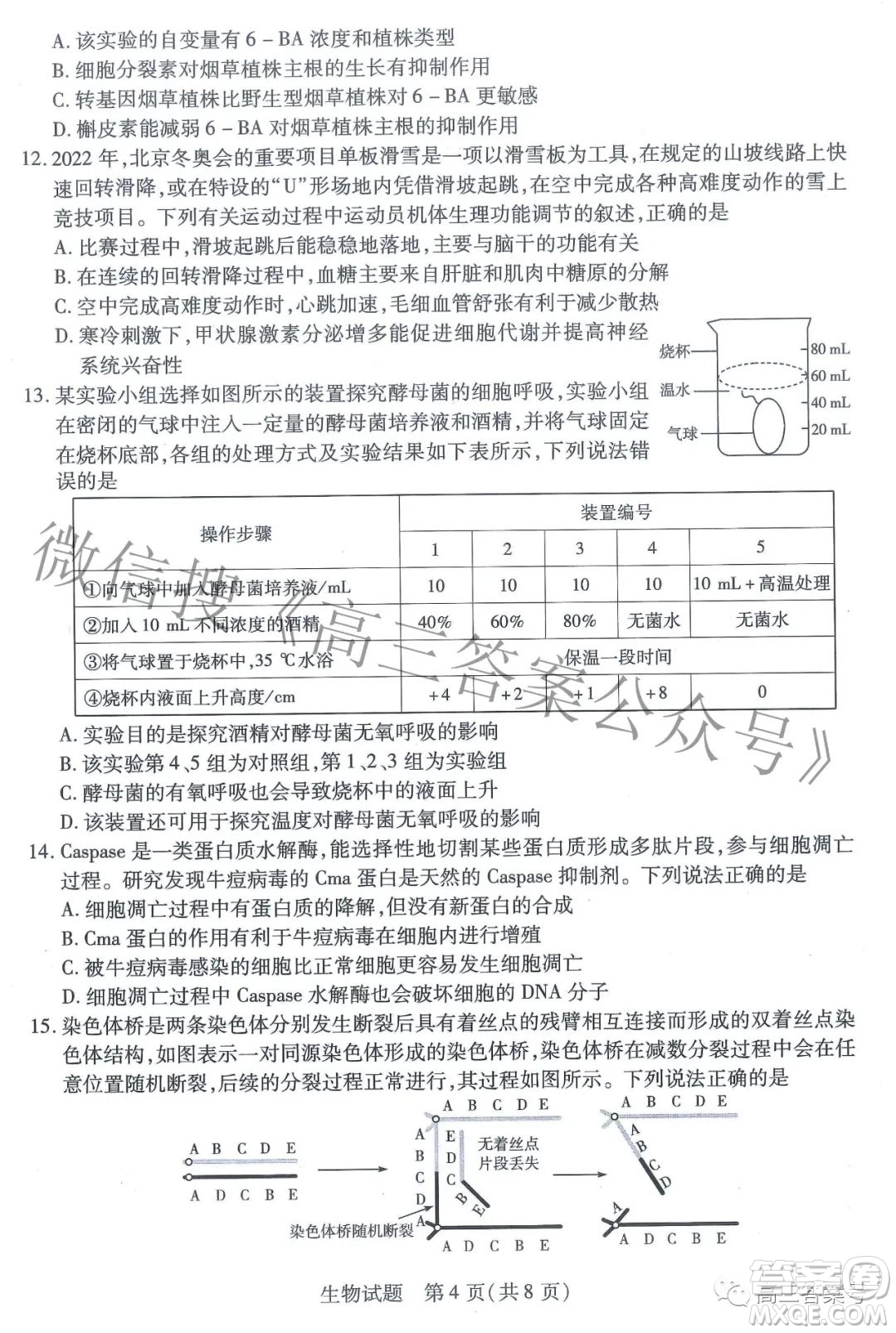 天一大聯(lián)考頂尖計(jì)劃2023屆高中畢業(yè)班第一次考試生物試題及答案