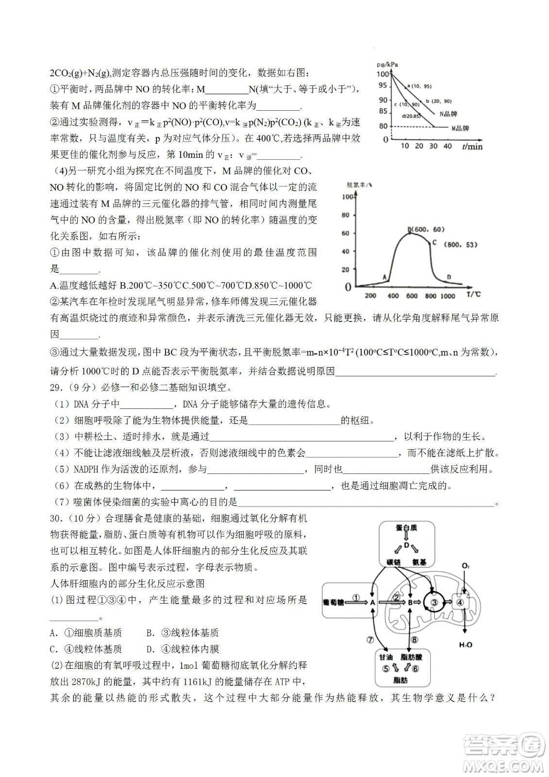 河南省信陽高級中學2022-2023學年高三上學期開學考試理科綜合試題及答案