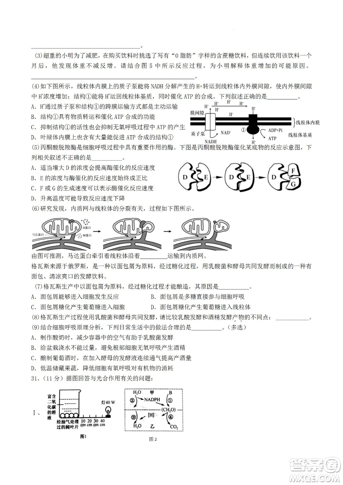 河南省信陽高級中學2022-2023學年高三上學期開學考試理科綜合試題及答案