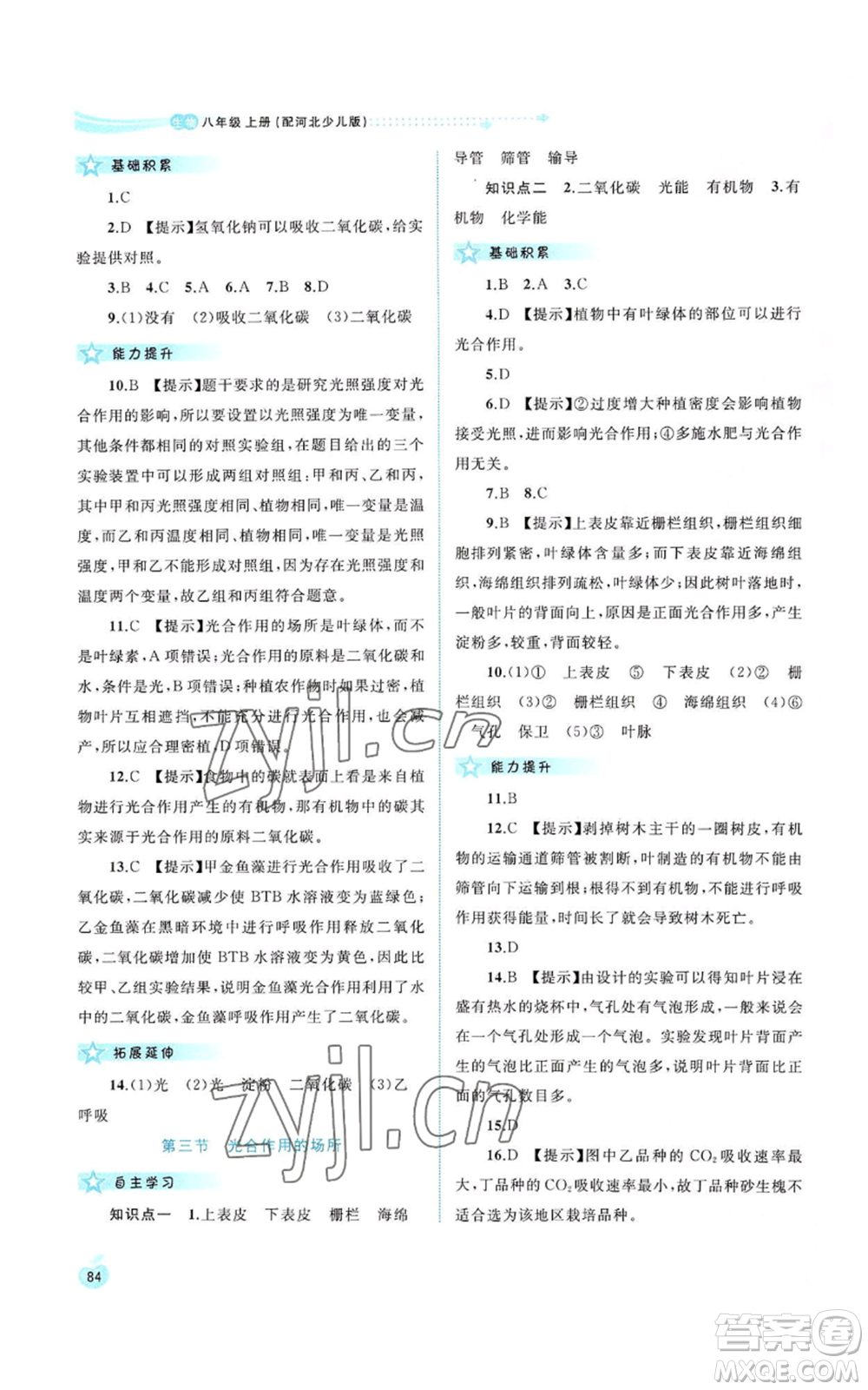 廣西教育出版社2022新課程學(xué)習(xí)與測評同步學(xué)習(xí)八年級上冊生物河北少兒版參考答案