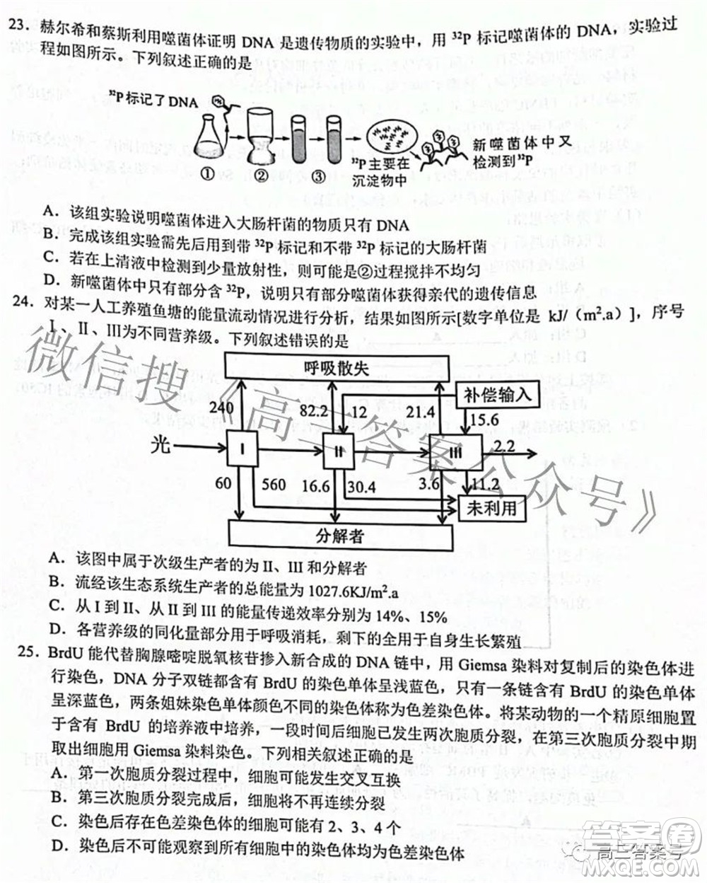 Z20名校聯(lián)盟浙江省名校新高考研究聯(lián)盟2023屆高三第一次聯(lián)考生物試題卷及答案