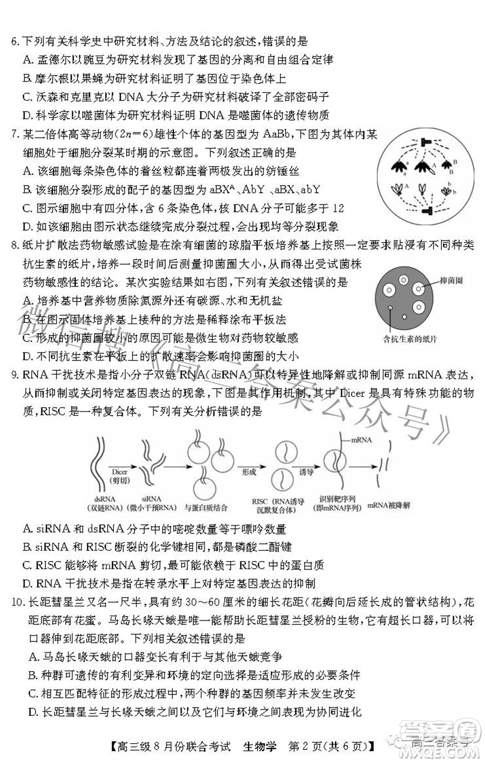 清中河中北中惠中2023屆高三級(jí)8月份聯(lián)合考試生物學(xué)試題及答案