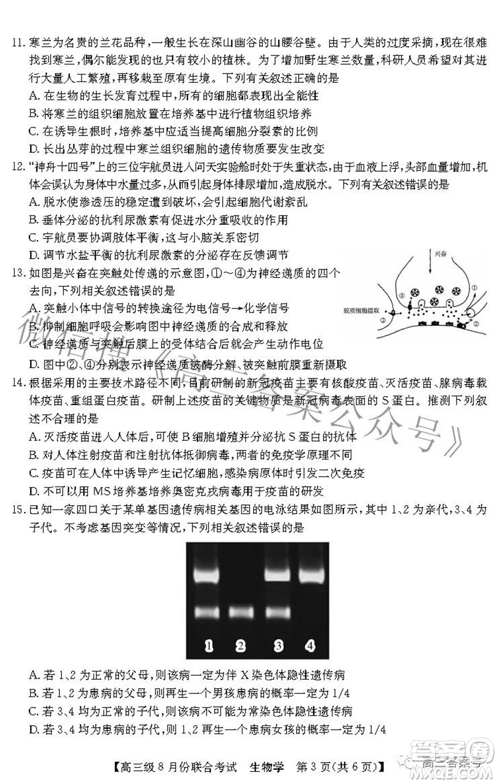 清中河中北中惠中2023屆高三級(jí)8月份聯(lián)合考試生物學(xué)試題及答案