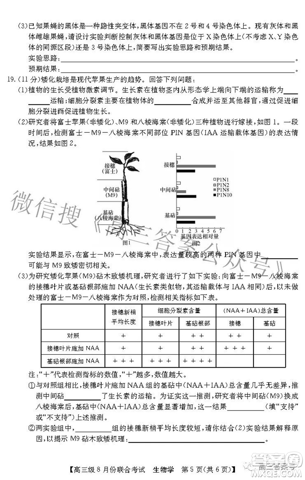 清中河中北中惠中2023屆高三級(jí)8月份聯(lián)合考試生物學(xué)試題及答案