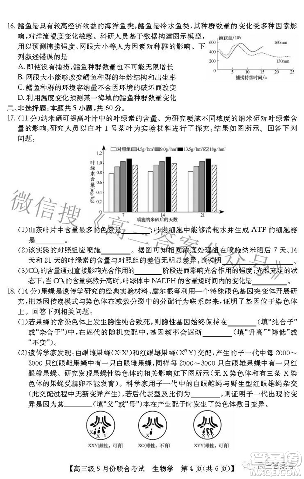 清中河中北中惠中2023屆高三級(jí)8月份聯(lián)合考試生物學(xué)試題及答案