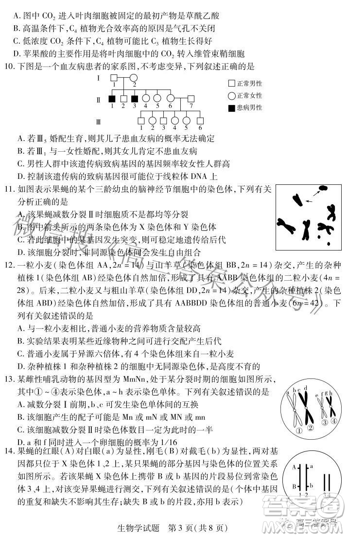 天一大聯(lián)考2022-2023學(xué)年上安徽卓越縣中聯(lián)盟高三年級開學(xué)考生物學(xué)試題及答案