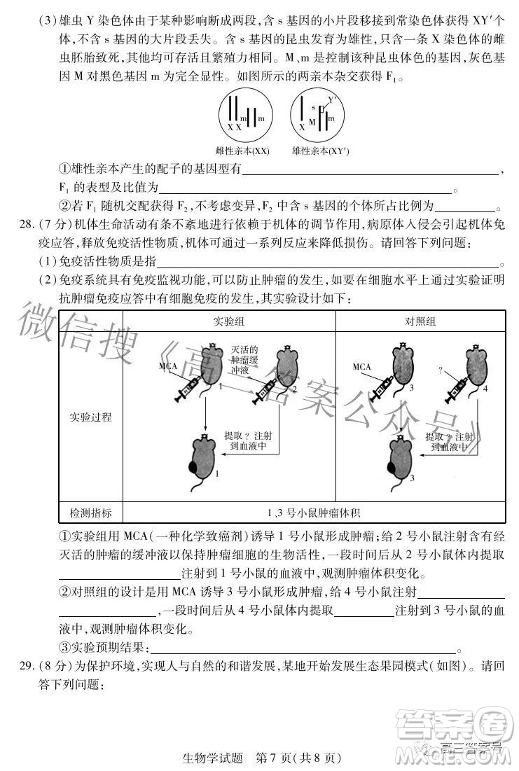 天一大聯(lián)考2022-2023學(xué)年上安徽卓越縣中聯(lián)盟高三年級開學(xué)考生物學(xué)試題及答案