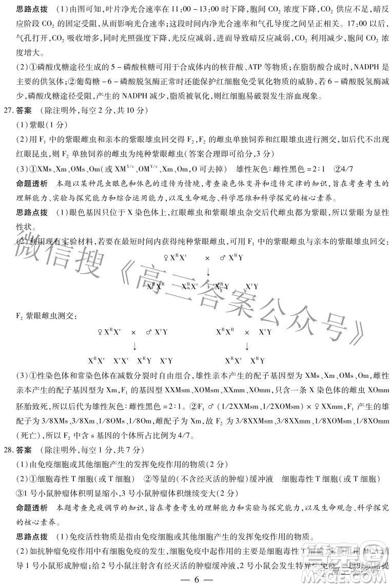 天一大聯(lián)考2022-2023學(xué)年上安徽卓越縣中聯(lián)盟高三年級開學(xué)考生物學(xué)試題及答案