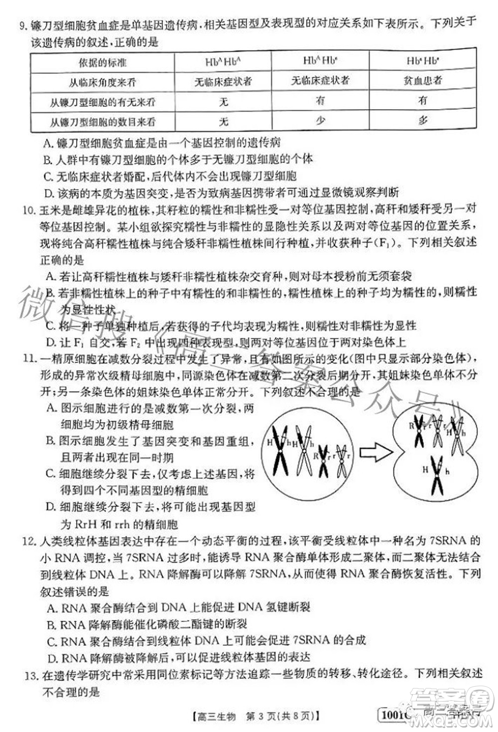 2023屆金太陽(yáng)8月聯(lián)考1001C高三生物試題及答案