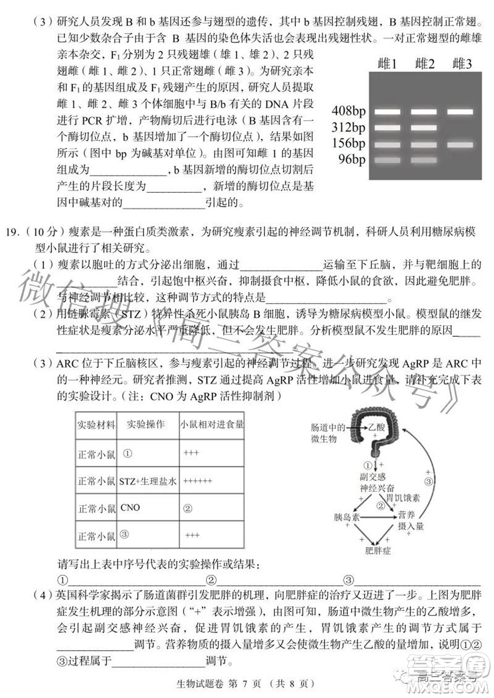 A佳教育2022年8月高三入學摸底測試生物試題及答案