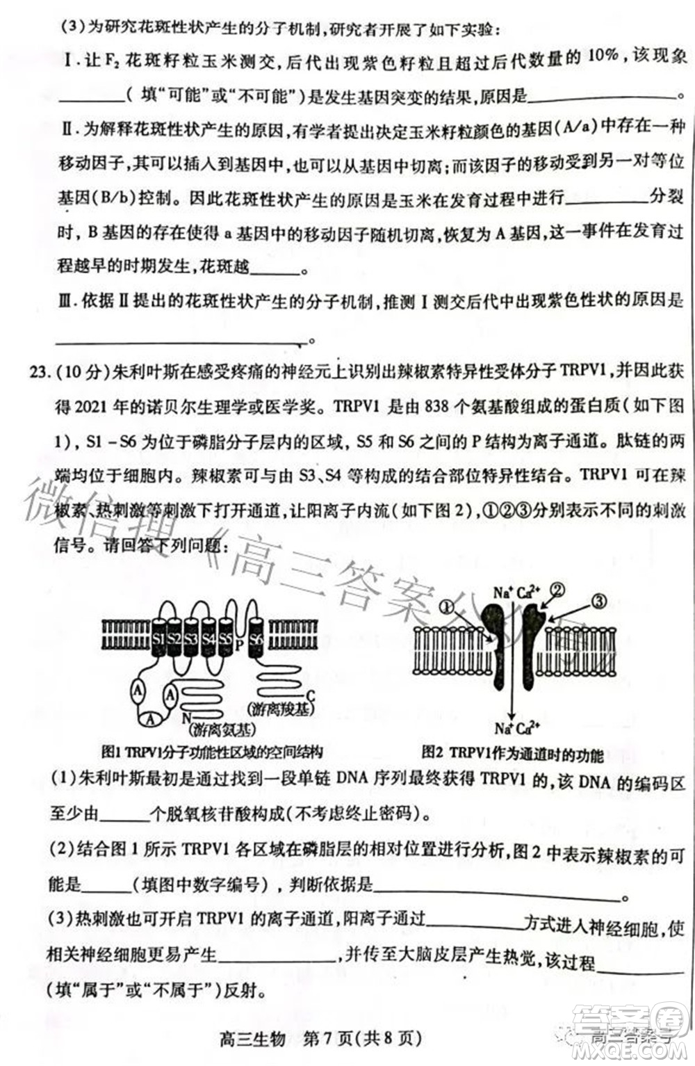 包頭市2022-2023學年度第一學期高三年級調(diào)研考試生物試題及答案