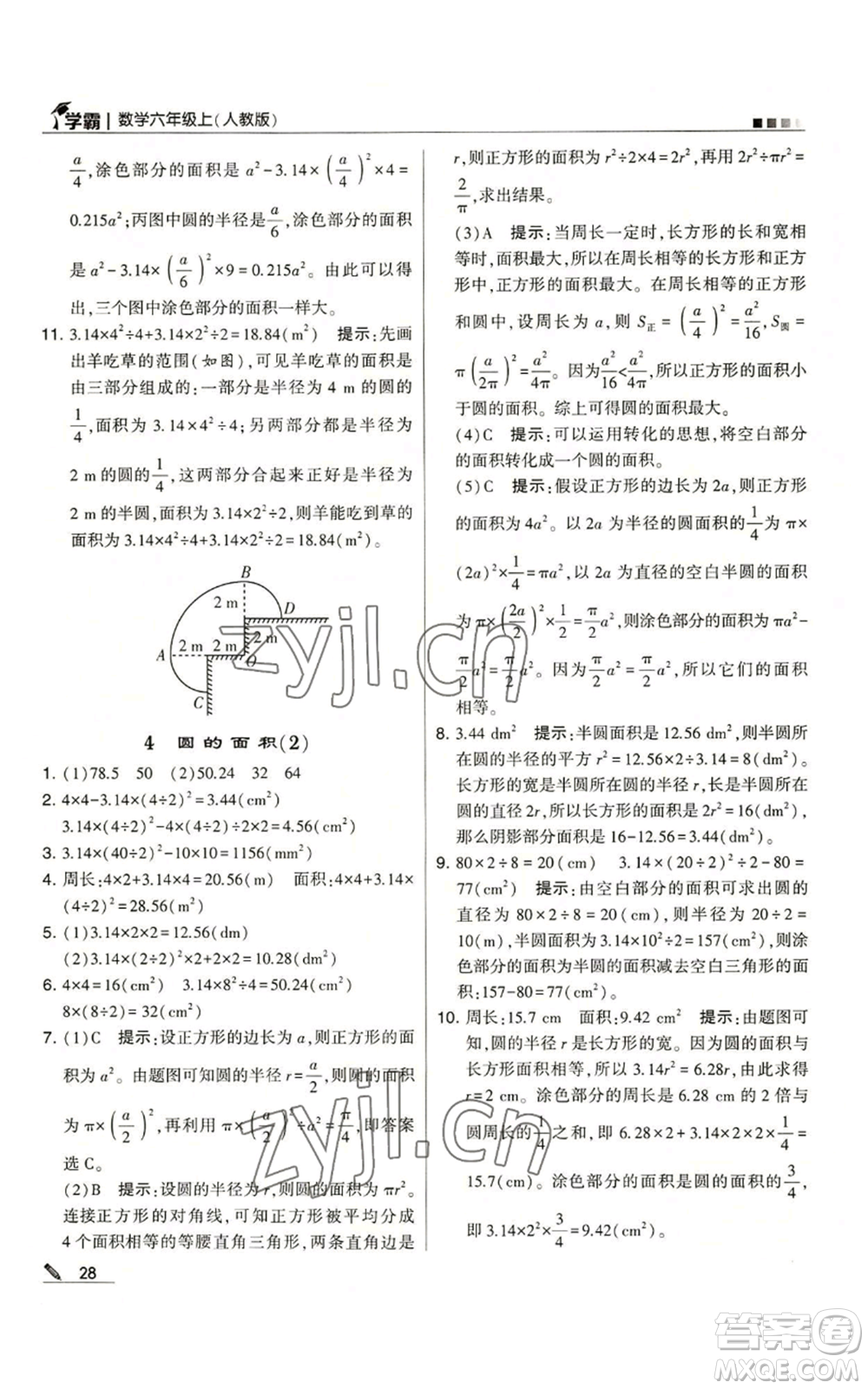 甘肅少年兒童出版社2022經(jīng)綸學(xué)典學(xué)霸六年級(jí)上冊(cè)數(shù)學(xué)人教版參考答案