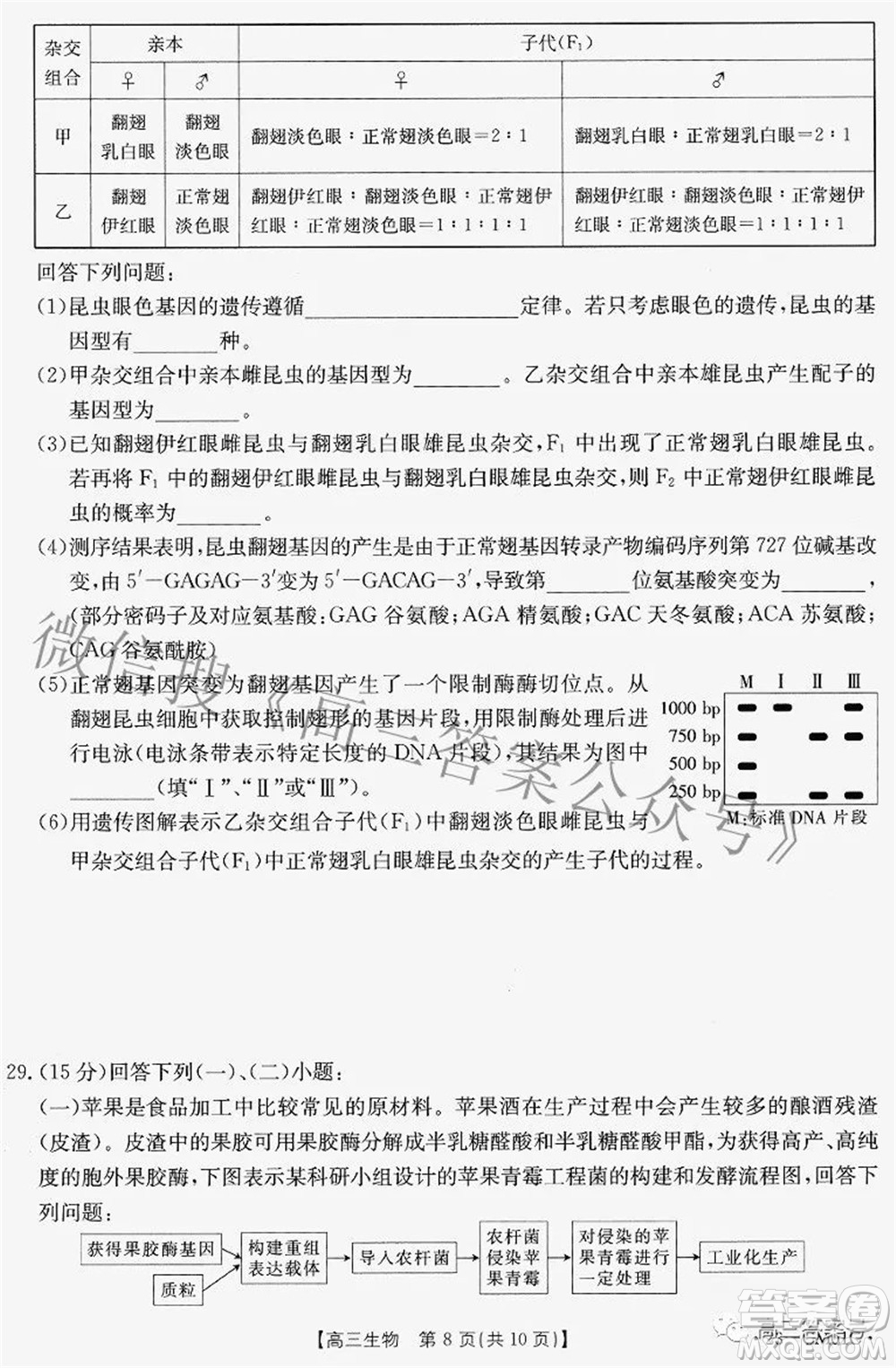 2022-2023學(xué)年高三浙里卷天下8月開學(xué)測(cè)試生物試題及答案