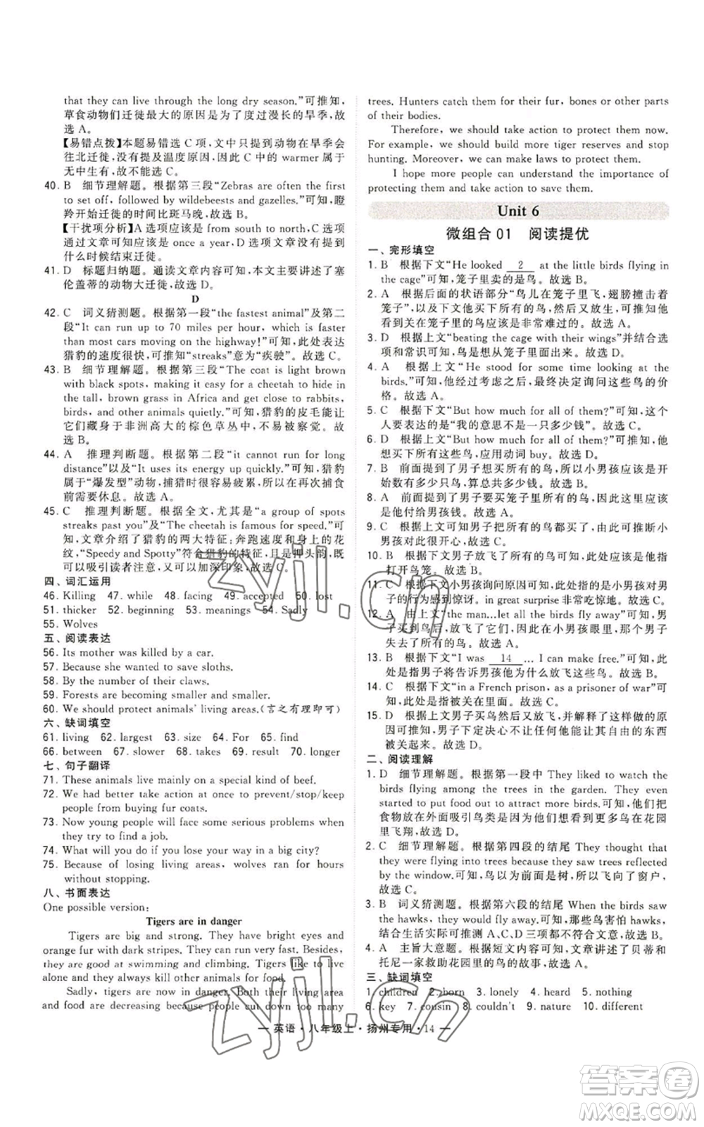 河海大學出版社2022經(jīng)綸學典學霸組合訓練八年級上冊英語譯林版揚州專版參考答案