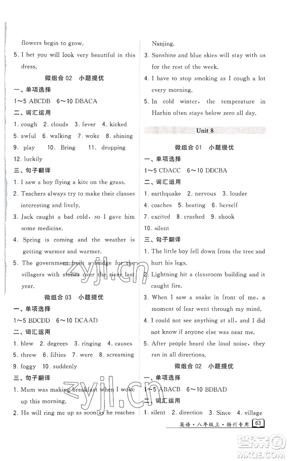 河海大學出版社2022經(jīng)綸學典學霸組合訓練八年級上冊英語譯林版揚州專版參考答案