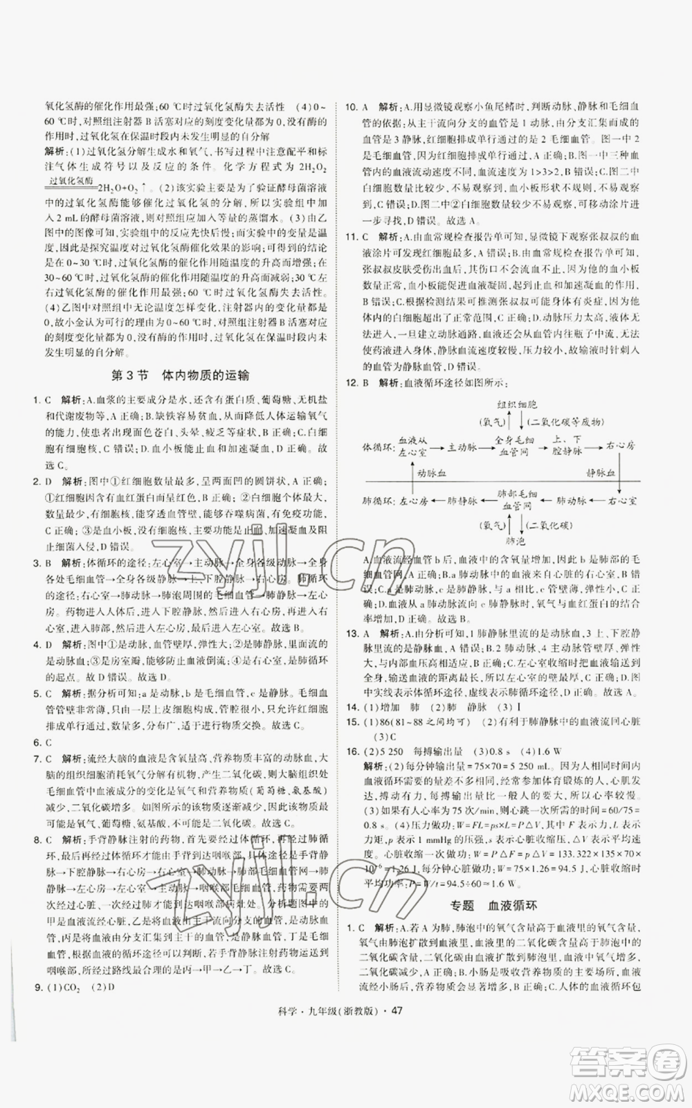 寧夏人民教育出版社2022經(jīng)綸學(xué)典學(xué)霸題中題九年級(jí)科學(xué)浙教版參考答案