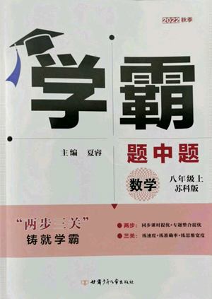 甘肅少年兒童出版社2022秋季學(xué)霸題中題八年級(jí)上冊(cè)數(shù)學(xué)蘇科版參考答案