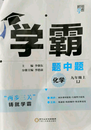 寧夏人民教育出版社2022經綸學典學霸題中題九年級上冊化學魯教版參考答案