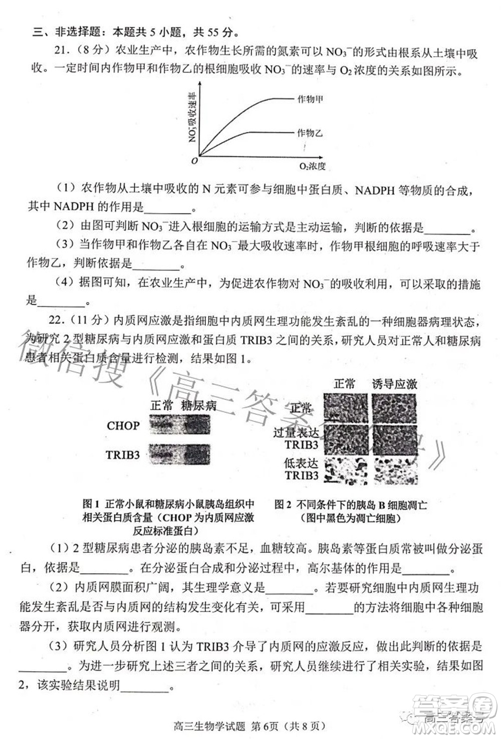 日照市2020級(jí)高三上學(xué)期校際聯(lián)合考試生物學(xué)試題及答案