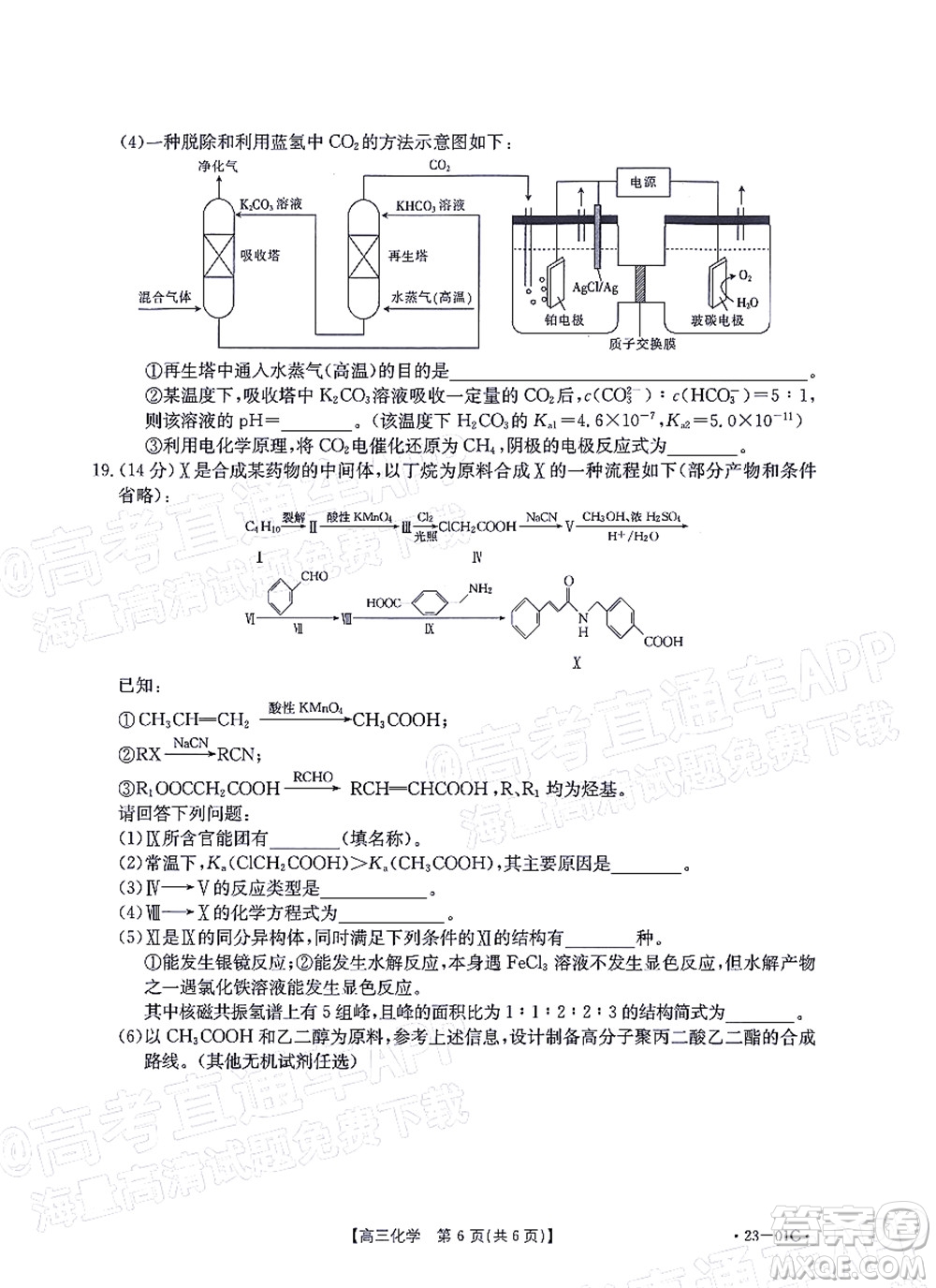 2023屆廣東金太陽(yáng)8月高三聯(lián)考化學(xué)試題及答案