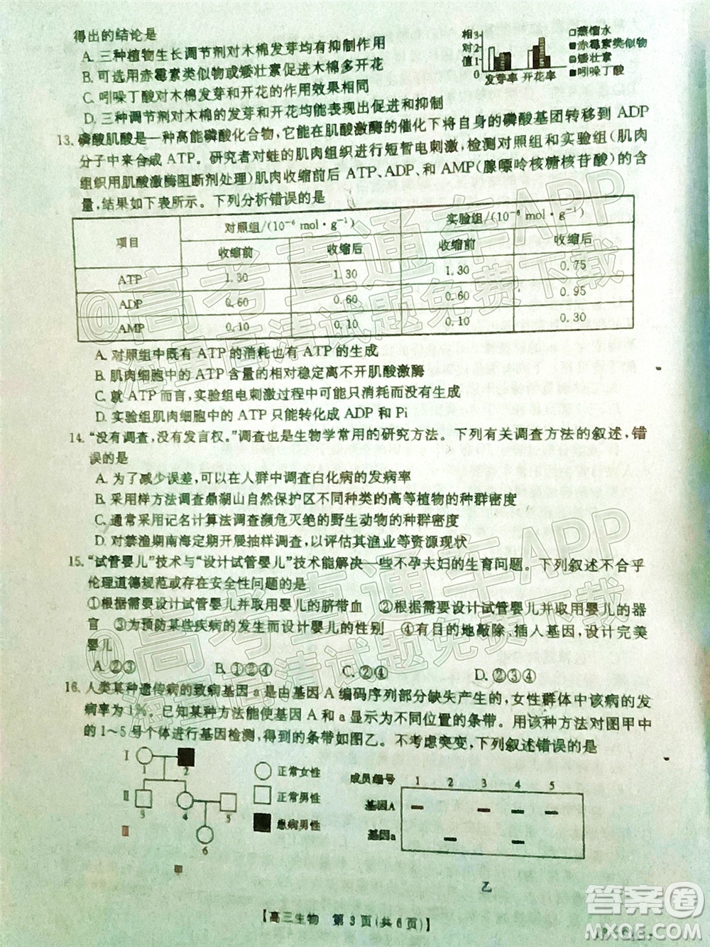 2023屆廣東金太陽8月高三聯(lián)考生物試題及答案