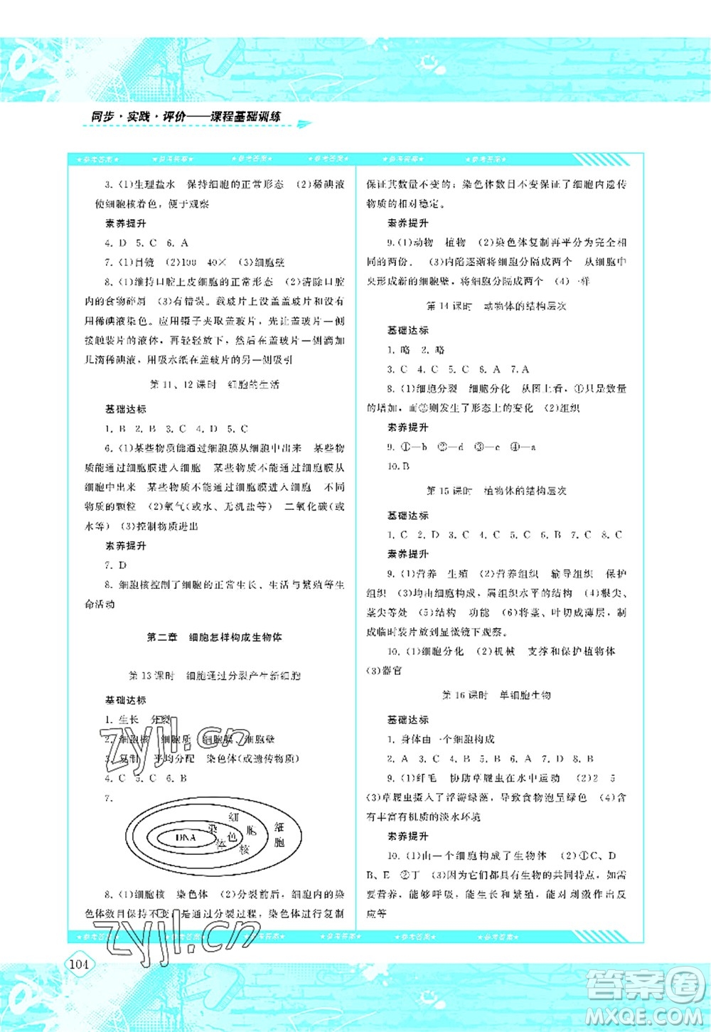 湖南少年兒童出版社2022課程基礎(chǔ)訓(xùn)練七年級(jí)生物上冊(cè)人教版答案