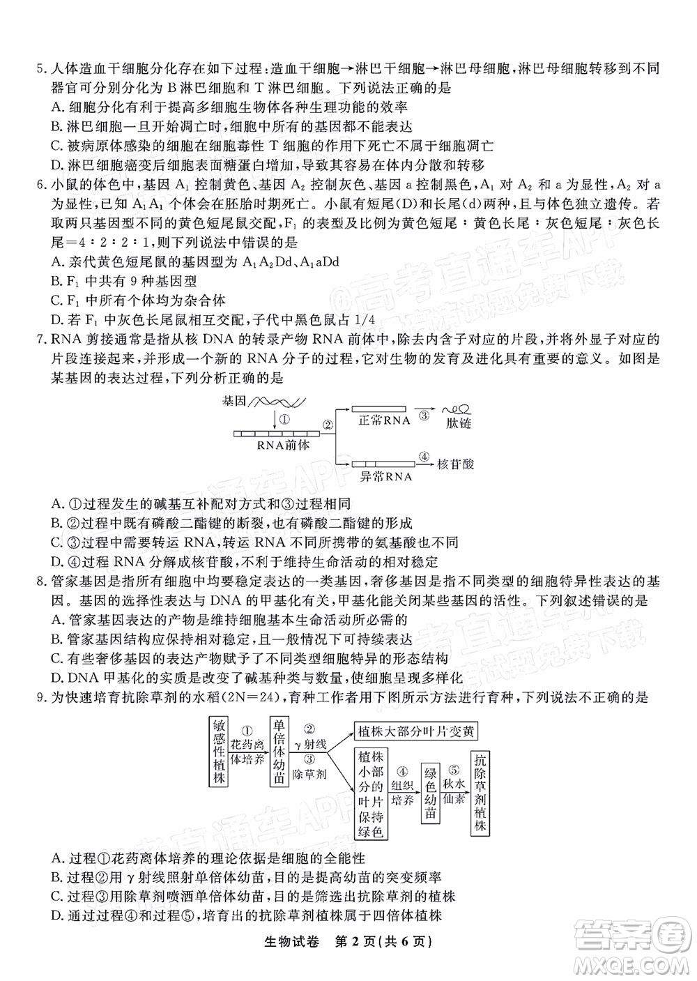 2023屆蚌埠市高三8月質(zhì)檢生物試題及答案