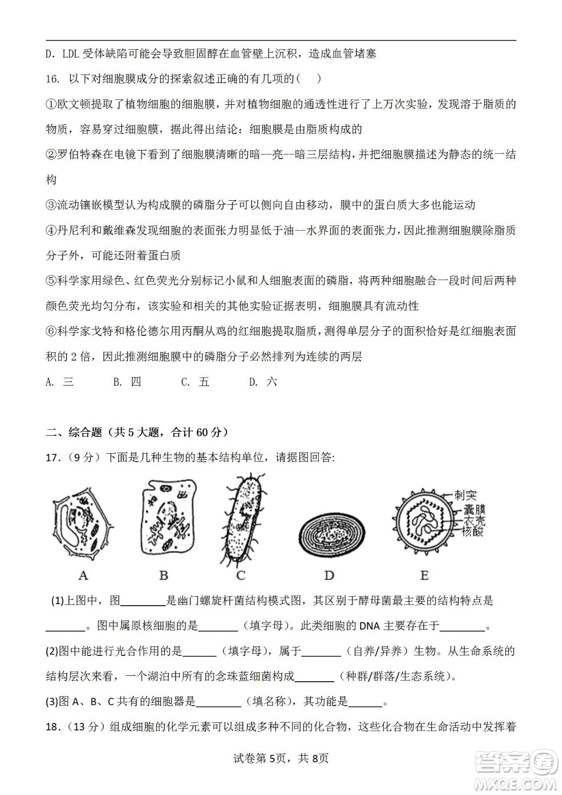 福建省龍巖一中2023屆高三第一次月考生物試題及答案