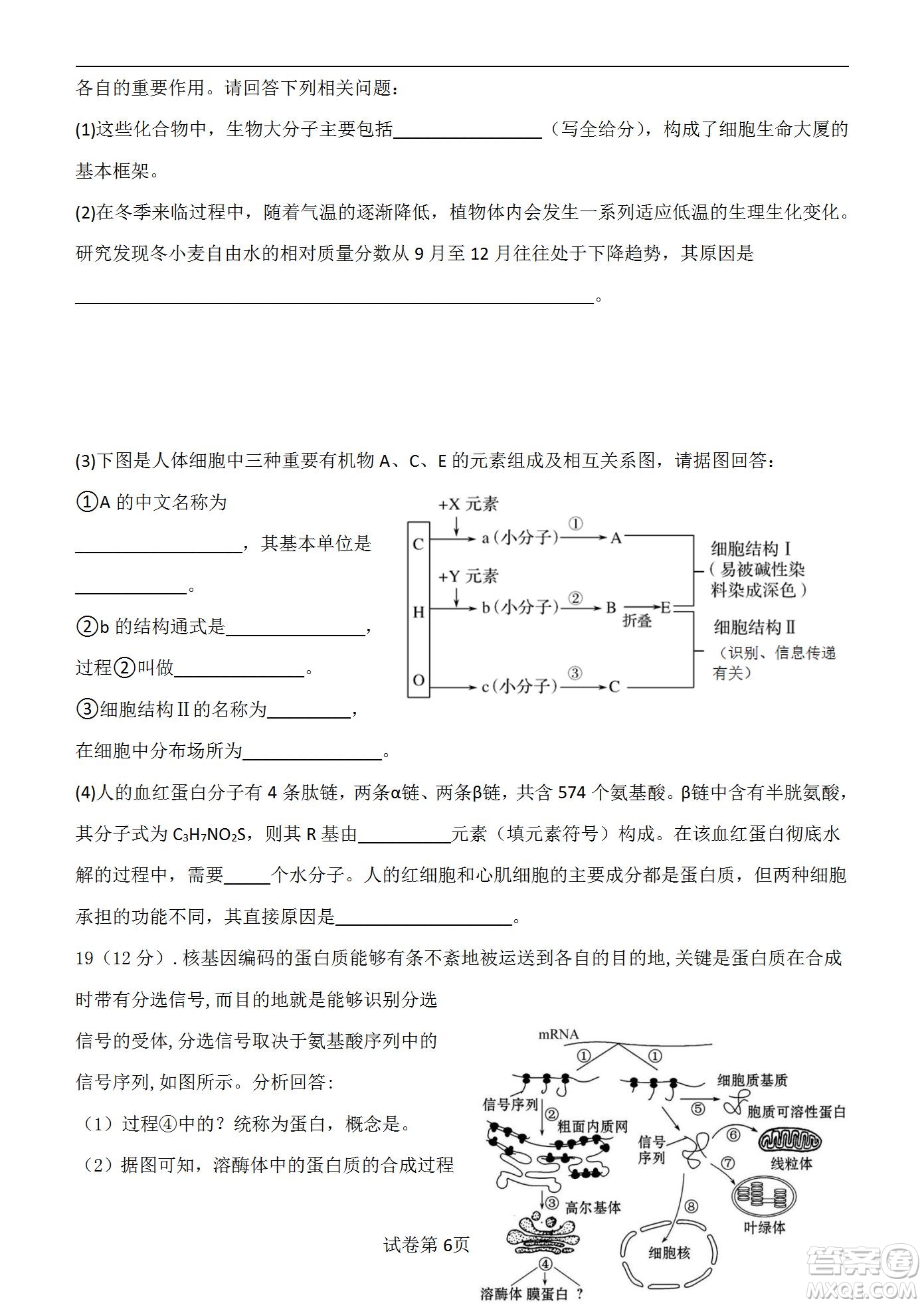 福建省龍巖一中2023屆高三第一次月考生物試題及答案