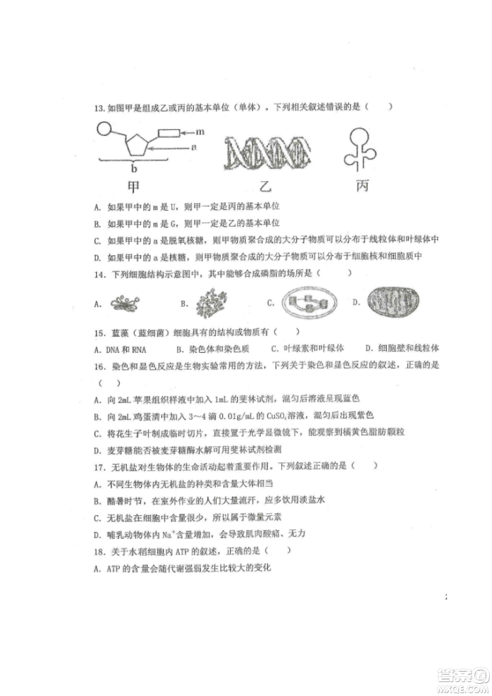 黑龍江省龍西北八校聯(lián)合體2022-2023學(xué)年高三上學(xué)期開學(xué)摸底考試生物試題及答案