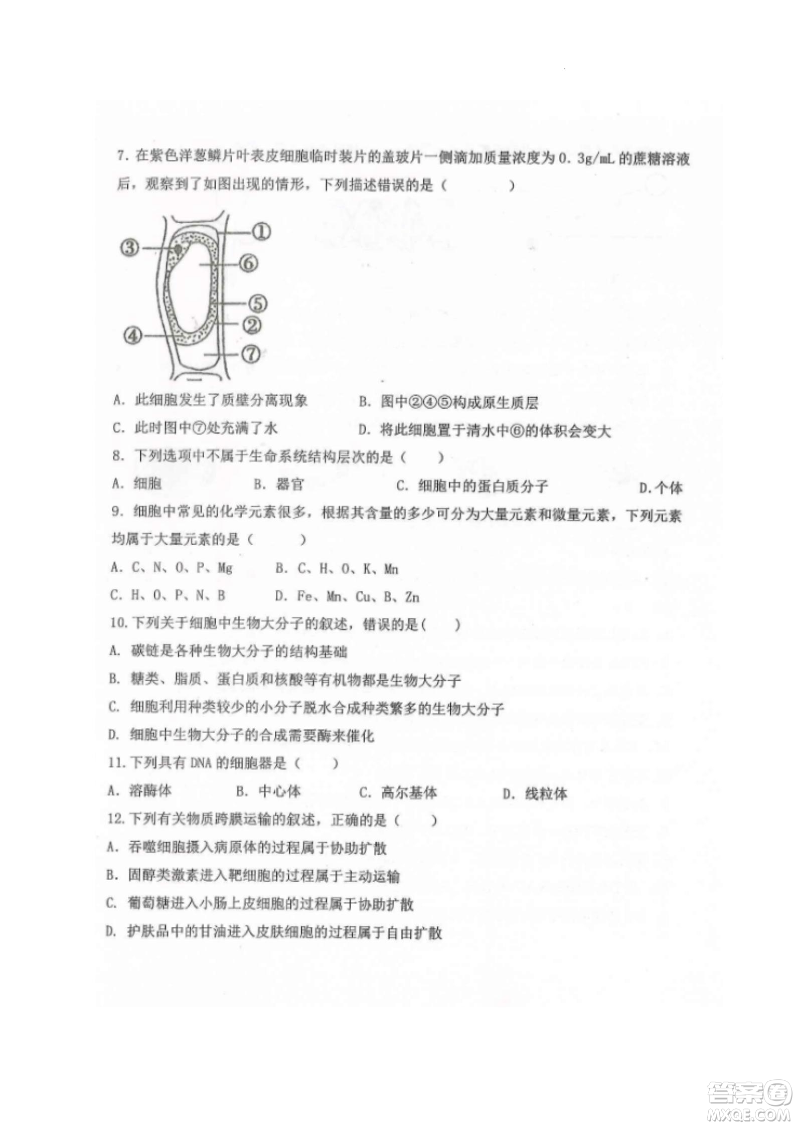 黑龍江省龍西北八校聯(lián)合體2022-2023學(xué)年高三上學(xué)期開學(xué)摸底考試生物試題及答案